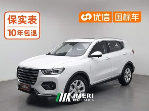 2021 Haval H6 1.5T Automatic Urban Edition - car from China