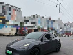 Tesla Model Y Rear-Wheel Drive - ფოტო 1