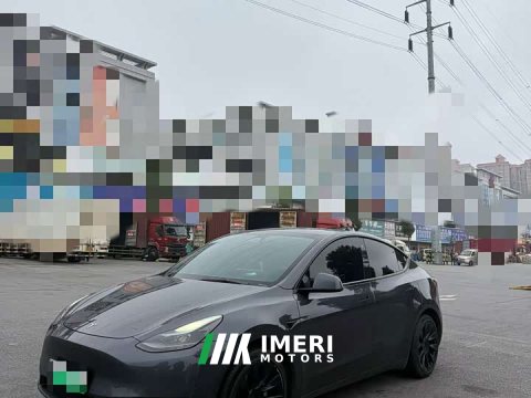 2022 Tesla Model Y Rear-Wheel Drive - ავტომობილი ჩინეთიდან