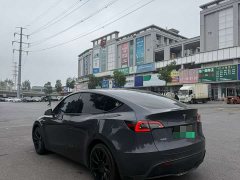 Tesla Model Y Rear-Wheel Drive - ფოტო 5