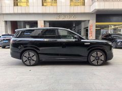 Denza N8L Flagship - ფოტო 6