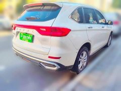 Haval M6 PLUS 1.5T Manual Elite Smart Connected - ფოტო 4