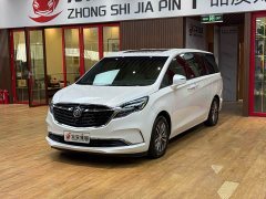 Buick GL8 ES Luxe 653T Comfort - фото 1