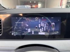 BYD Sealion 06 DM-i 205 Pilot Pro - photo 3
