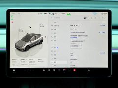 Tesla Model Y Rear-Wheel Drive - ფოტო 12