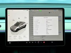 Tesla Model Y Rear-Wheel Drive - ფოტო 14