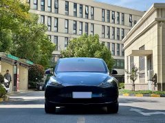 Tesla Model Y Rear-Wheel Drive - ფოტო 2