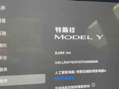 Tesla Model Y Rear-Wheel Drive - ფოტო 10