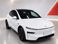 Tesla Model Y Rear-Wheel Drive - ფოტო 3