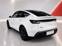 Tesla Model Y Rear-Wheel Drive - ფოტო 4