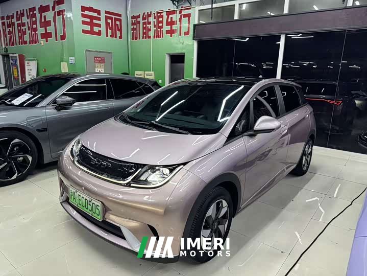 BYD Dolphin Glory Edition 420km Fashion Version - ავტომობილი ჩინეთიდან