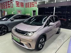 BYD Dolphin Glory Edition 420km Fashion Version - ფოტო 1