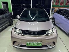 BYD Dolphin Glory Edition 420km Fashion Version - ფოტო 2