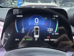BYD Dolphin Glory Edition 420km Fashion Version - ფოტო 6