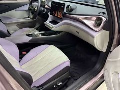 BYD Dolphin Glory Edition 420km Fashion Version - ფოტო 9