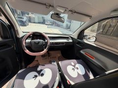 Wuling Hongguang MINIEV Deluxe Edition LFP Battery - photo 5