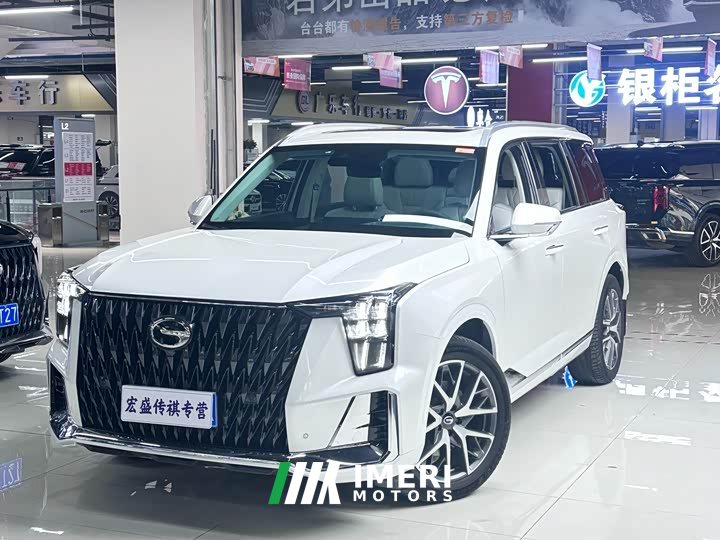GAC Aion GS8 Dual Engine 2.0T M Two-Wheel Drive Luxury Edition (7-Seater)