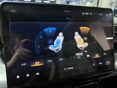 GAC Aion GS8 Dual Engine 2.0T M Two-Wheel Drive Luxury Edition (7-Seater) - ფოტო 14