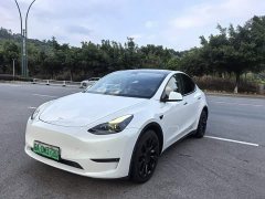 Tesla Model Y Long Range All-Wheel Drive - фото 1