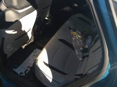 Geely Xingrui 2.0T Diesel Luxury - фото 11