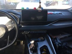 Geely Xingrui 2.0T Diesel Luxury - фото 13