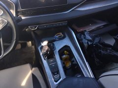 Geely Xingrui 2.0T Diesel Luxury - фото 16
