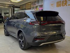 BYD Tang New Energy DM-i 112KM Premium Edition - фото 7
