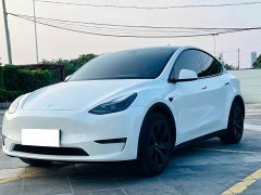 Tesla Model Y Long Range All-Wheel Drive - фото 1