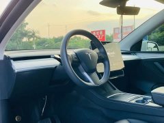 Tesla Model Y Long Range All-Wheel Drive - фото 12