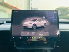 Tesla Model Y Long Range All-Wheel Drive - фото 17