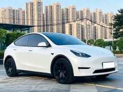 Tesla Model Y Long Range All-Wheel Drive - фото 3