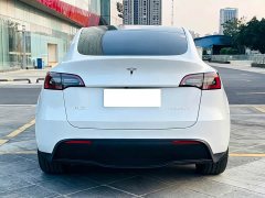 Tesla Model Y Long Range All-Wheel Drive - фото 6