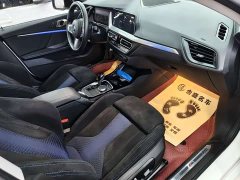 BMW 2 Series (Imported) Year Facelift 225i Four-Door Coupe M Sport Night Edition Package - photo 20