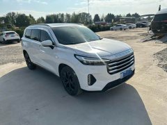Changan Chitu Lanyue 390T Two-Wheel Drive Star Shine Edition - photo 3