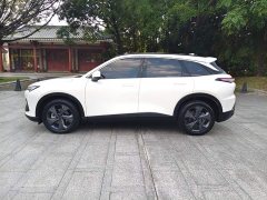 Beijing MoFang 1.5T DCT Platinum Edition - photo 4