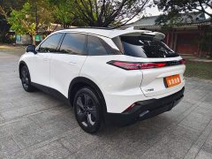 Beijing MoFang 1.5T DCT Platinum Edition - photo 6