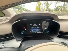 SAIC Roewe iMAX8 New Energy 1.5T DMH Land Respect Premium Edition - photo 14