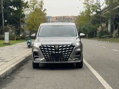 SAIC Roewe iMAX8 New Energy 1.5T DMH Land Respect Premium Edition - photo 2