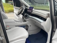 SAIC Roewe iMAX8 New Energy 1.5T DMH Land Respect Premium Edition - photo 9