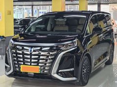 Denza D9 DM-i 980 Four-Wheel Drive Premium - photo 1