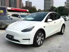 Tesla Model Y Standard Range RWD - photo 1