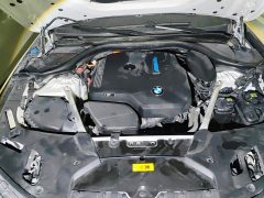 BMW 5 Series New Energy 535Le Luxury Package - фото 10