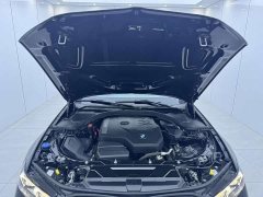 BMW 3 Series 320Li M Sport Package - ფოტო 12