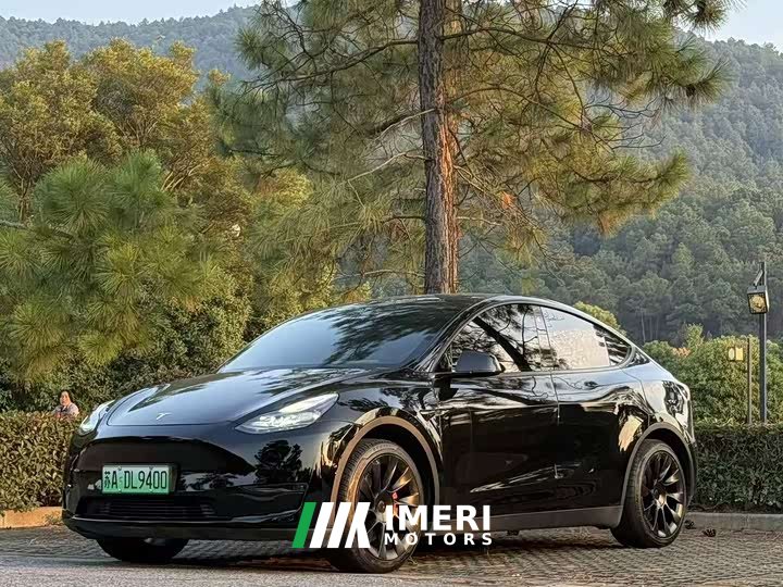 Tesla Model Y Long Range All-Wheel Drive - car from China