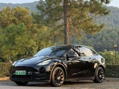 Tesla Model Y Long Range All-Wheel Drive - photo 1