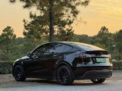 Tesla Model Y Long Range All-Wheel Drive - photo 9