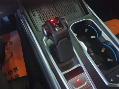 Tank 400 New Energy Hi4-T Off-Road Edition - photo 16