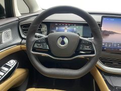 Denza D9 DM-i 1050 Premium - ფოტო 12