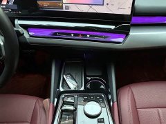 BMW 5 Series 530Li Premier M Sport Package - ფოტო 19