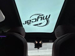BMW 5 Series 530Li Premier M Sport Package - ფოტო 20